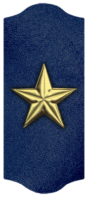 DARAY C 430 GD BL Star Gold Blue